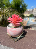 Pretty Pink Potted Flowers