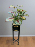 Artificial Plants With Planters