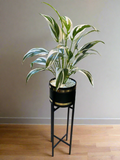 Artificial Plants With Planters