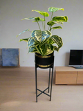 Artificial Plants With Planters