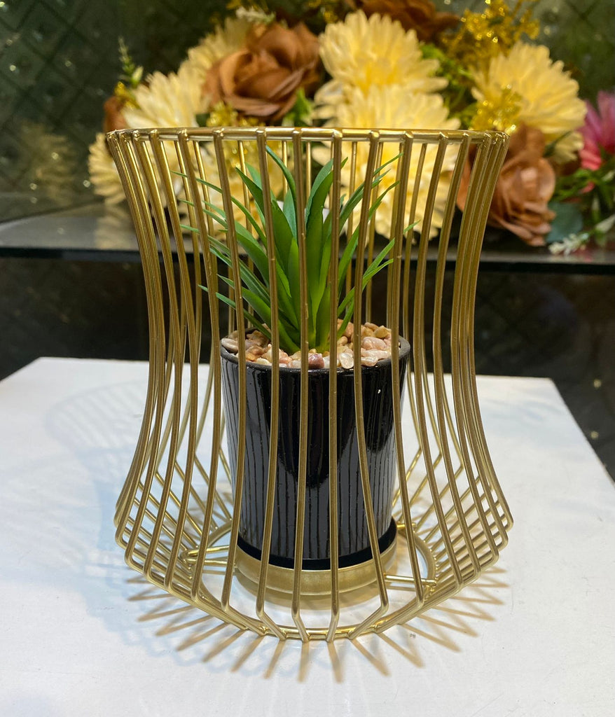 Metal Cage With Plant