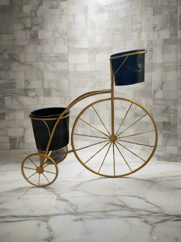 Decorative Metal Cycle